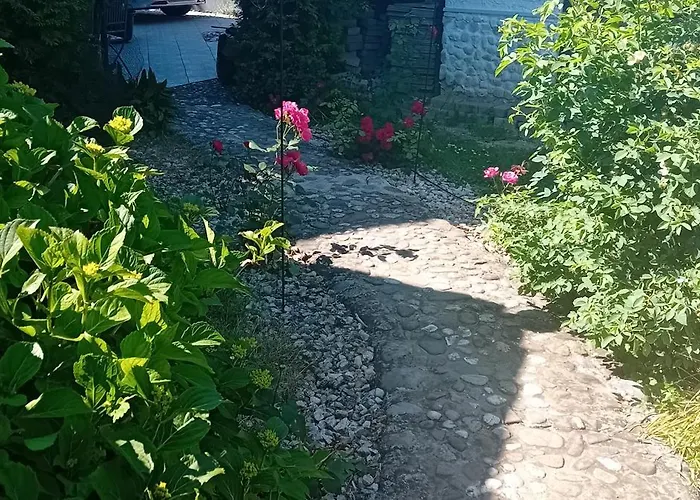 Rose Room 40M2 With Terrace 25M2 In Greeny Area For 4 Person