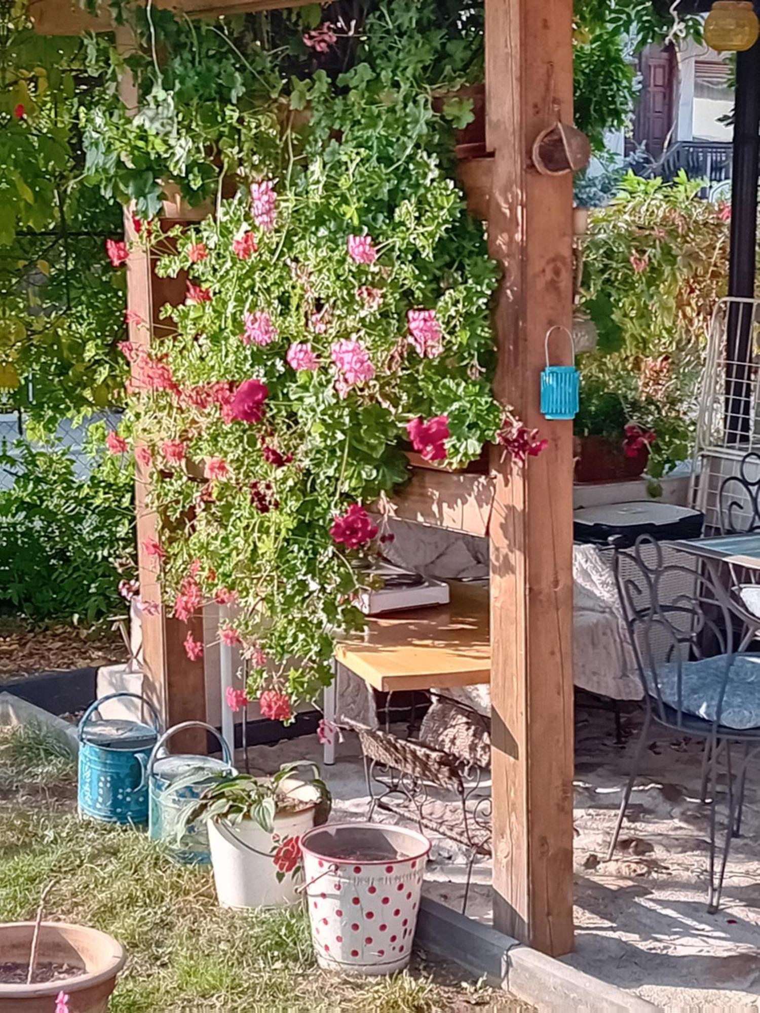Rose 40m2 With Terrace 25m2 In Greeny Area For 4 Person Ubytování v soukromí *