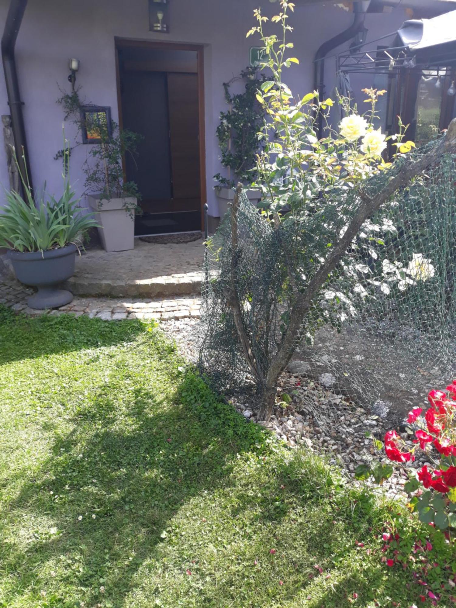 Rose 40m2 With Terrace 25m2 In Greeny Area For 4 Person Ubytování v soukromí *