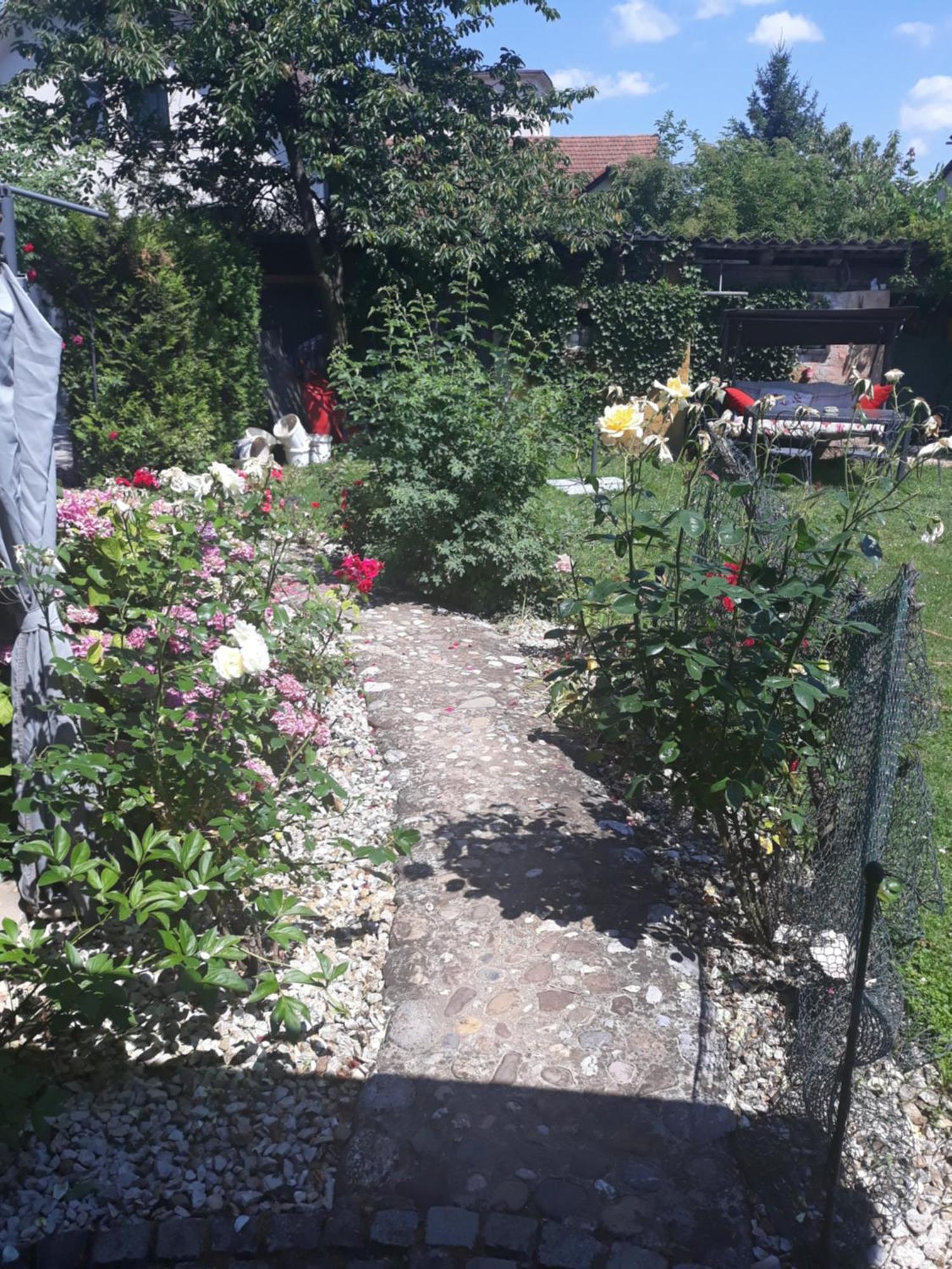 Ubytování v soukromí Rose 40m2 With Terrace 25m2 In Greeny Area For 4 Person Lublaň