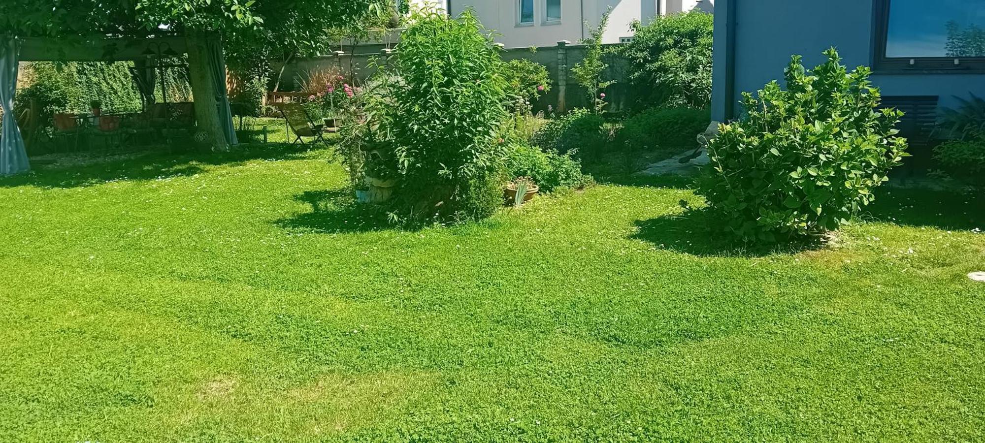Rose 40m2 With Terrace 25m2 In Greeny Area For 4 Person * Lublaň